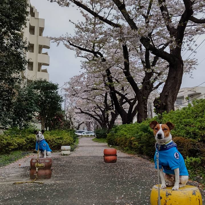 0a621139 89f9 422b 968e 00ef0e2fdbe4 1617055147424