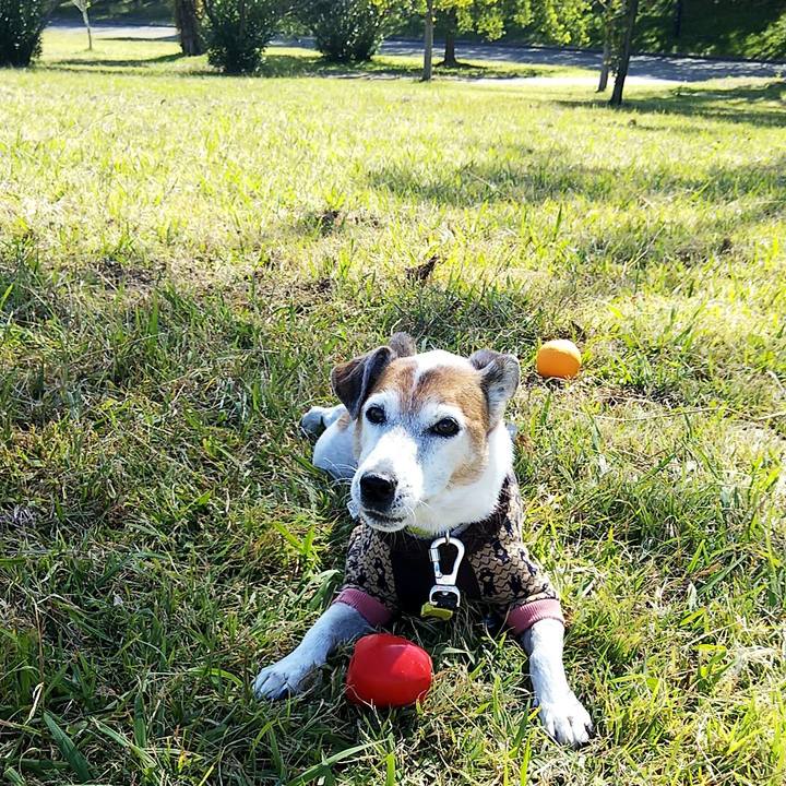 0a623926 40e3 4dab 9669 bc42def5e466 1541253012067