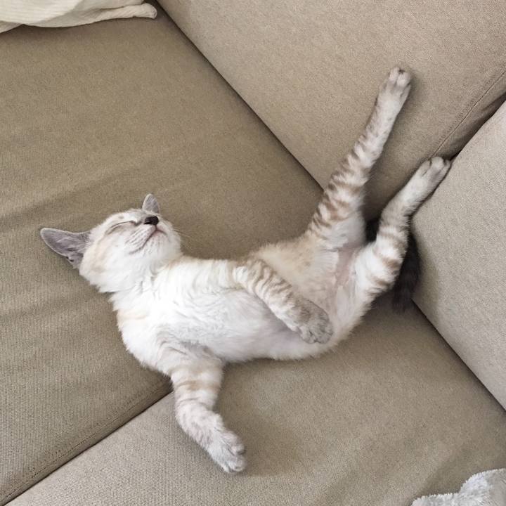 0a623a16 5a54 4d26 9797 ac418af9c1e5 1561942368022