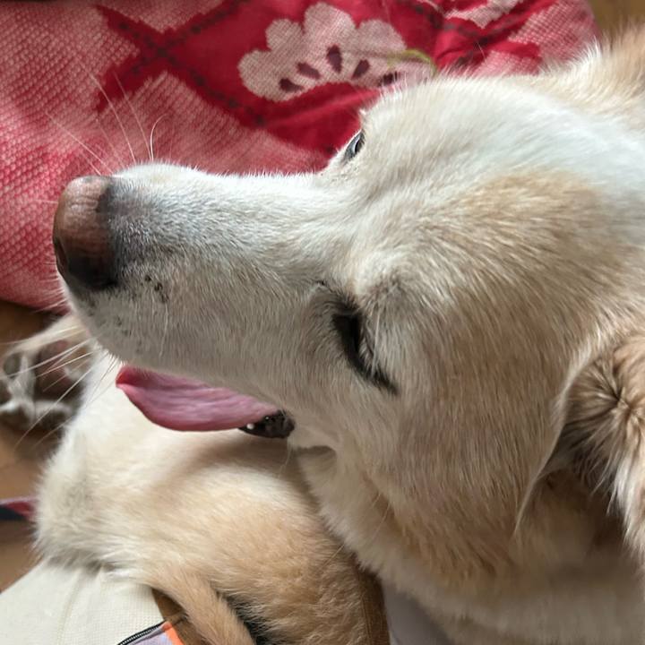 0a62469d d76f 41b0 a639 a402f5b73f01 1692516894469