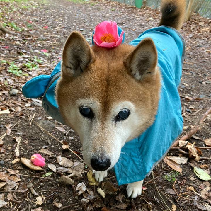 0a625abf 3d97 4779 8a2a 09032b7b77d5 1708471756693