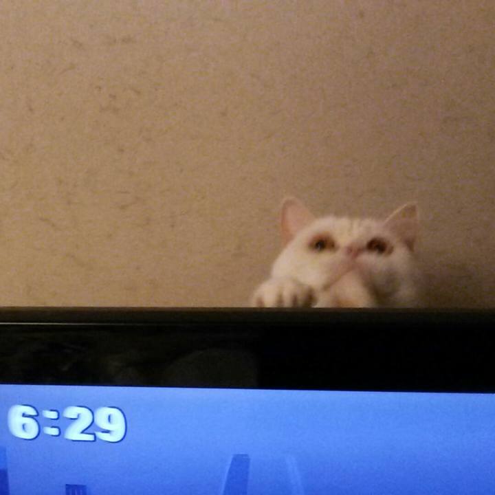 0a627f5d b4c4 42a8 8c9d 50c2efa915c1 1510047767996