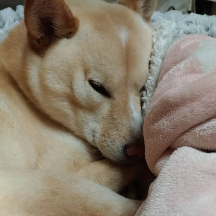 0a6291bf 92f9 4200 a145 7431a6a4a230 1581075554756