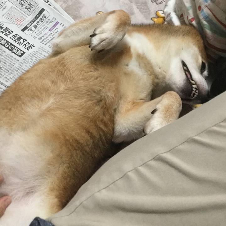 0a62946e ca22 4a50 8244 4890468cea42 1602570268360