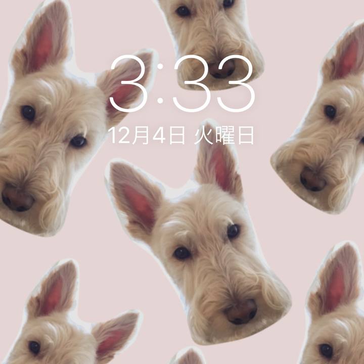 0a62cdc5 2366 4a17 9e5d b2ccf0884364 1543862418945