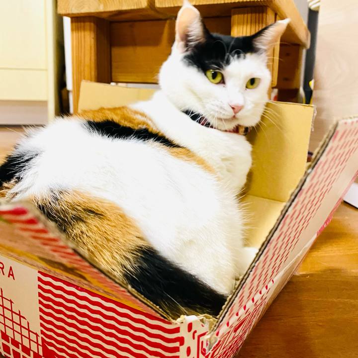 0a62de4a e5a7 4e0c 8c07 1a7a37829b46 1696421558949