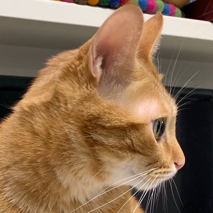 0a62e29d 269a 4c39 ae54 77f36f31be55 1569626265737