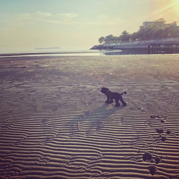 0a62f94f 3143 4b72 816b f7a470a03865 1525240646201