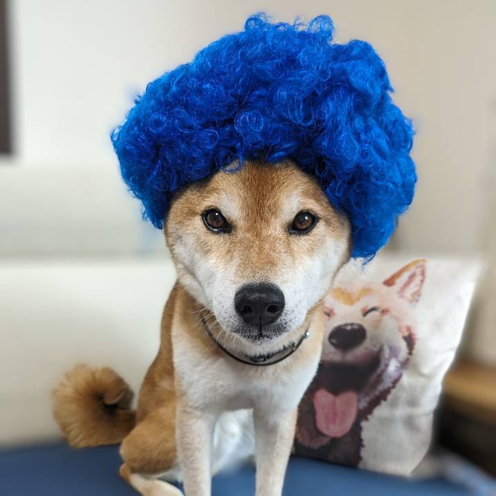 0a6333d1 8674 40d0 ad30 48a4d9420a4c 1717143700236