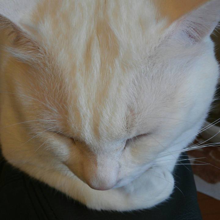 0a63628a 7474 472e b668 b5c349295cf5 1512868219050