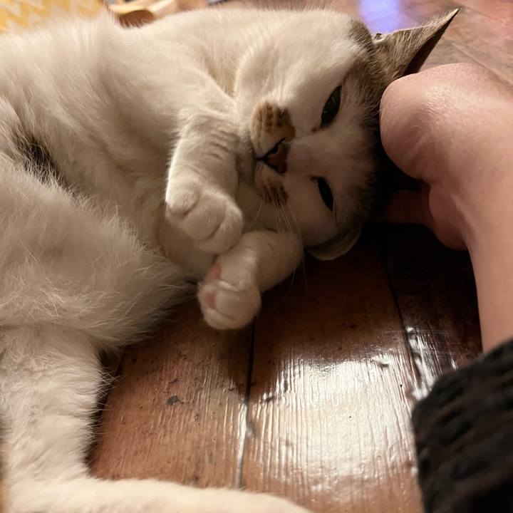 0a63643b 348b 48ac 99a6 1dda97732161 1647184681992