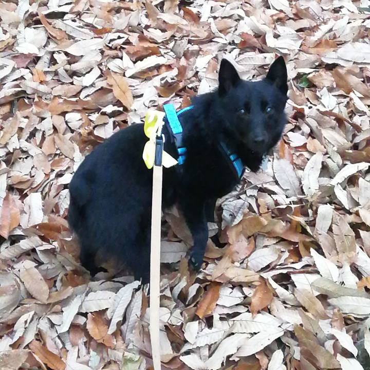 0a6389a2 a76d 4b0f 97c3 8ff96458cc34 1640556248319