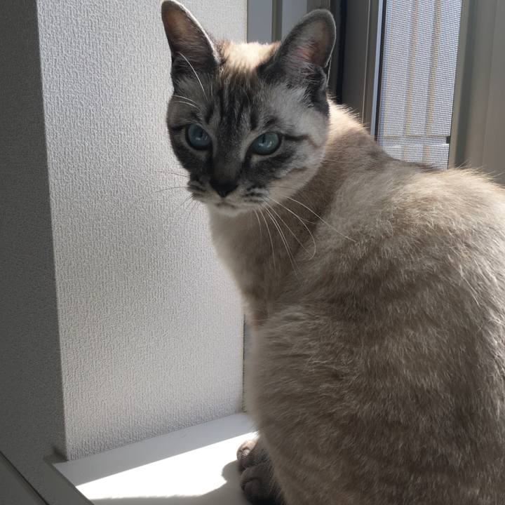 0a63a6c9 9941 4ac5 9f6b abdfda238338 1557037412680