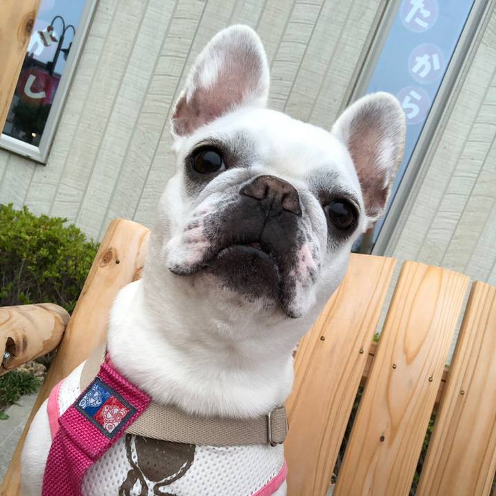 0a63ae3f 96a4 4344 a1f0 2d8869df38e2 1559957004565