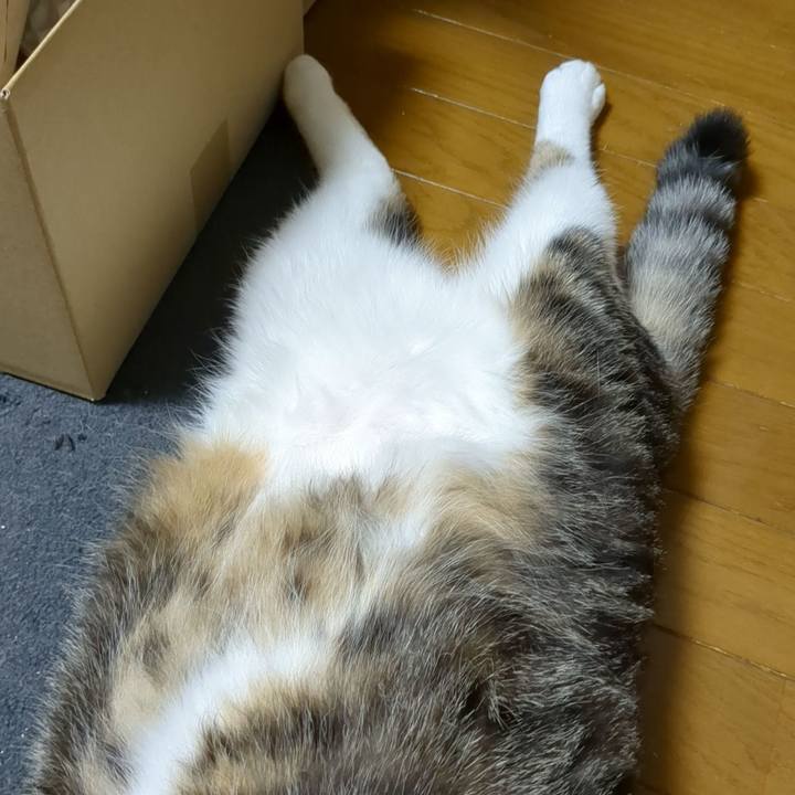 0a63ca70 0553 4510 bb56 85e6da1edd53 1683668866914