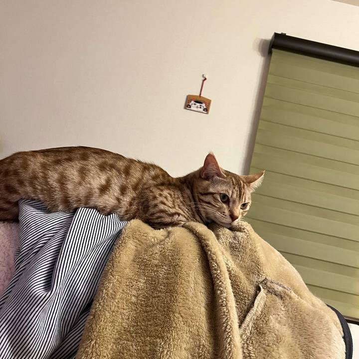 0a63db9a 774f 4a56 9c3a 3ec0a70ac531 1675084691629