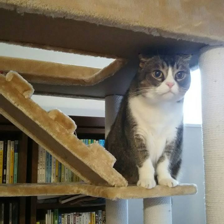 0a63e775 4f06 45ab bda8 5e3c62ab0c52 1549975229612