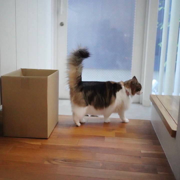 0a6427d7 ebeb 4838 950c c44f31b382ba 1697513264136