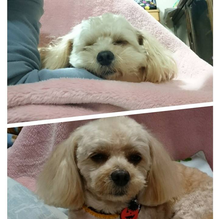 0a6439b5 8fb2 4321 a072 9ccd9f549a22 1509275707389