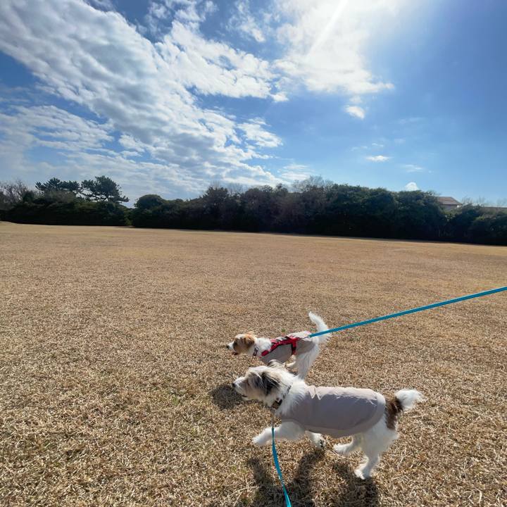 0a6485c0 5733 43dc 8b83 5e3d7fe2ea8b 1773664067022