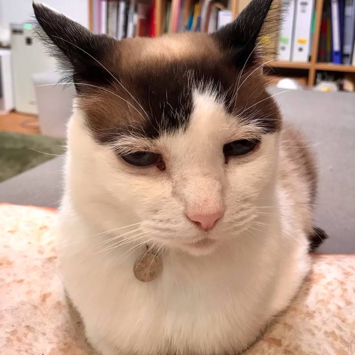 0a64c553 8ce2 4d9a ac39 92490a97d533 1618742864102