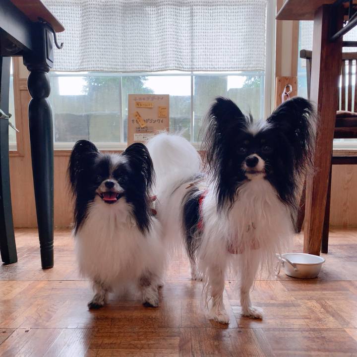 0a64e791 2ba8 4f2f 9476 edc74d6b4913 1566547028737