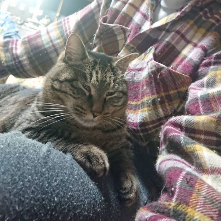 0a64f1bd d87e 4213 ad82 cd53ba0fd51f 1643370715733