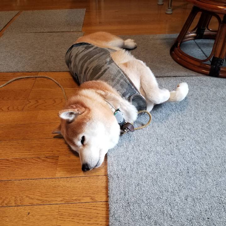 0a64fea1 a151 4b34 9a30 a1f9c9a9ea0d 1644276120011