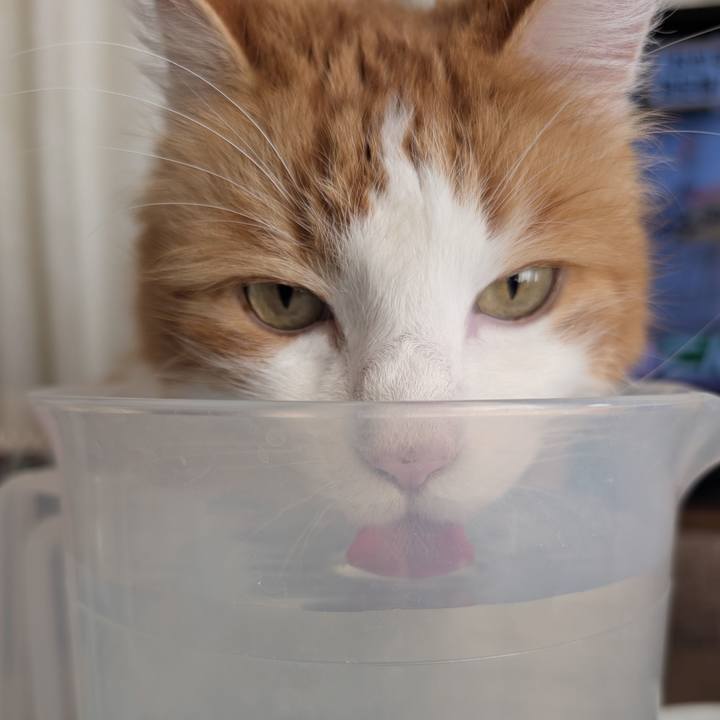 0a6500eb 9d6d 4627 bbc3 aa4875fb768d 1767846193023