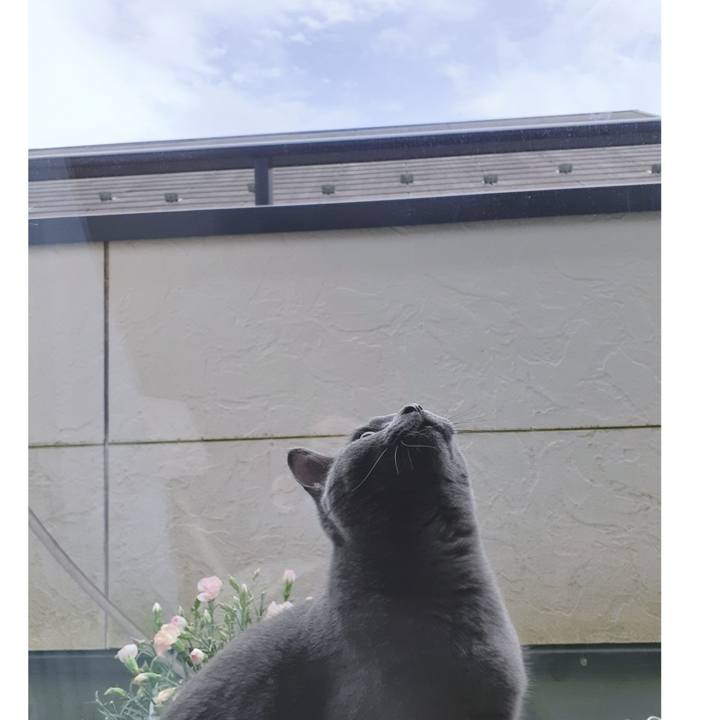 0a650120 52df 4aa4 bd87 4fc6417ab345 1621575318810