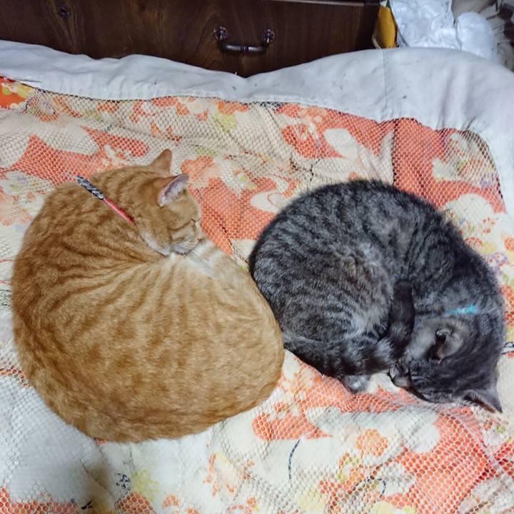 0a65045e 6c7d 4d35 bddc 0f8814c49acb 1572096157533