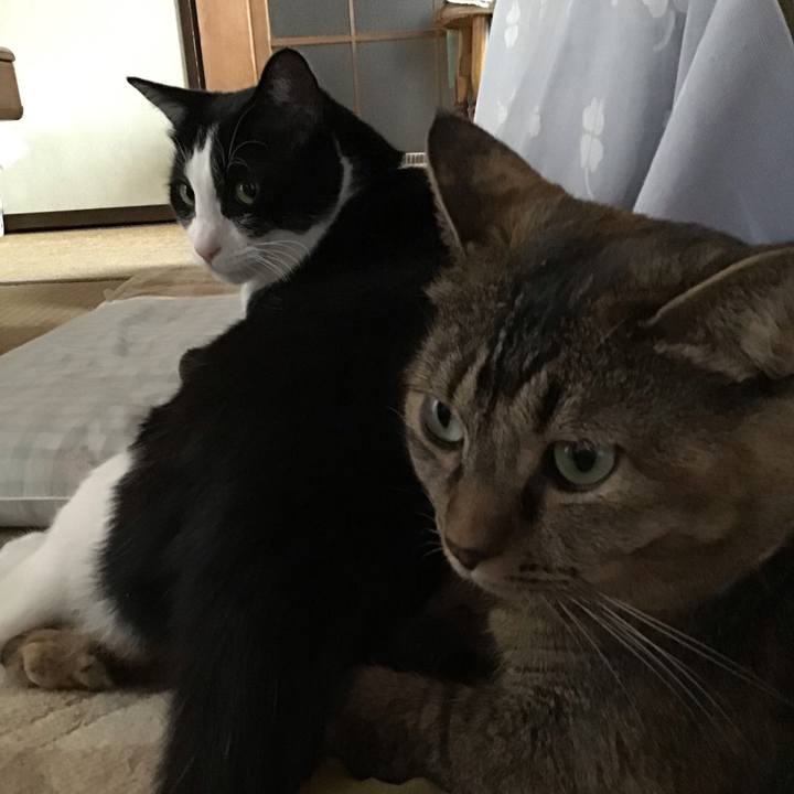 0a653f99 8521 4f00 97c2 1904184b00e4 1700123225899