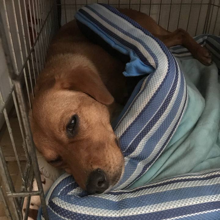 0a655051 4543 4f96 9ffd 112cbf43c6a8 1535234340738