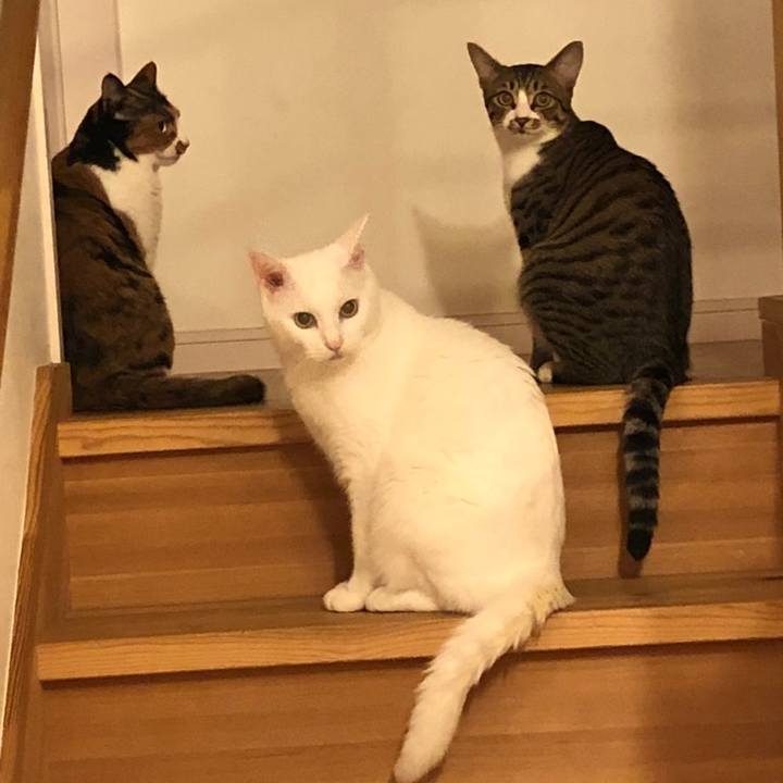 0a655f22 915b 4bb4 9dec d667a634a4c2 1602242436012