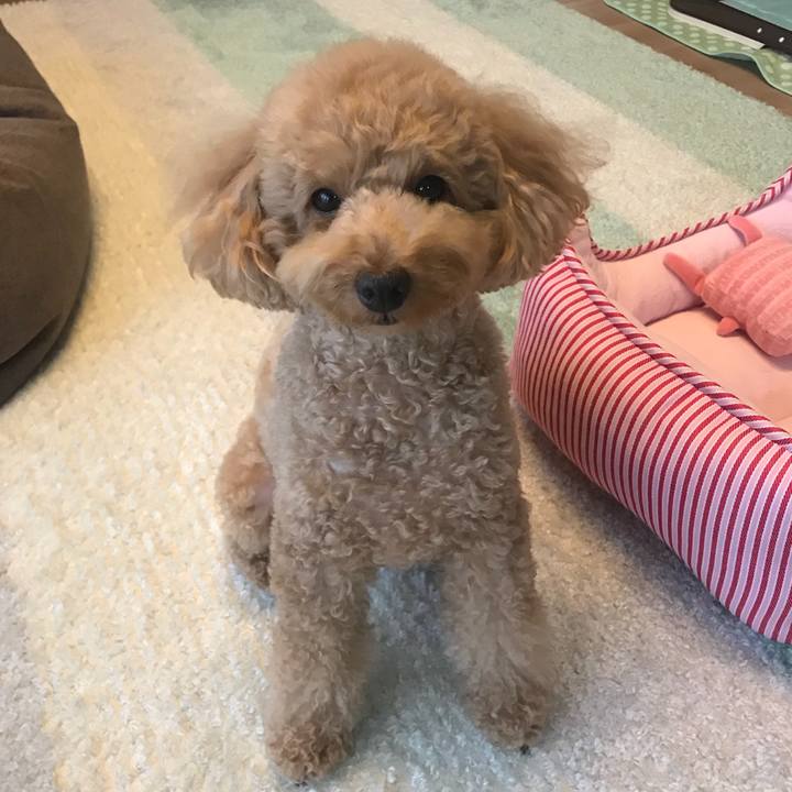 0a657032 a32f 49a2 ba5f 2e6cfe1a8c3c 1531993998926