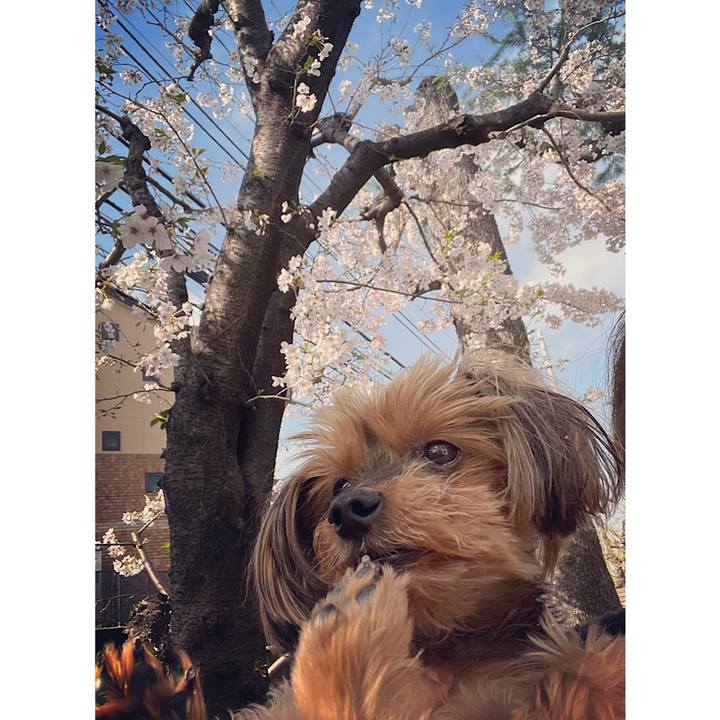 0a65a8a5 c25d 45a6 b972 ffb1c2811d24 1680087832556