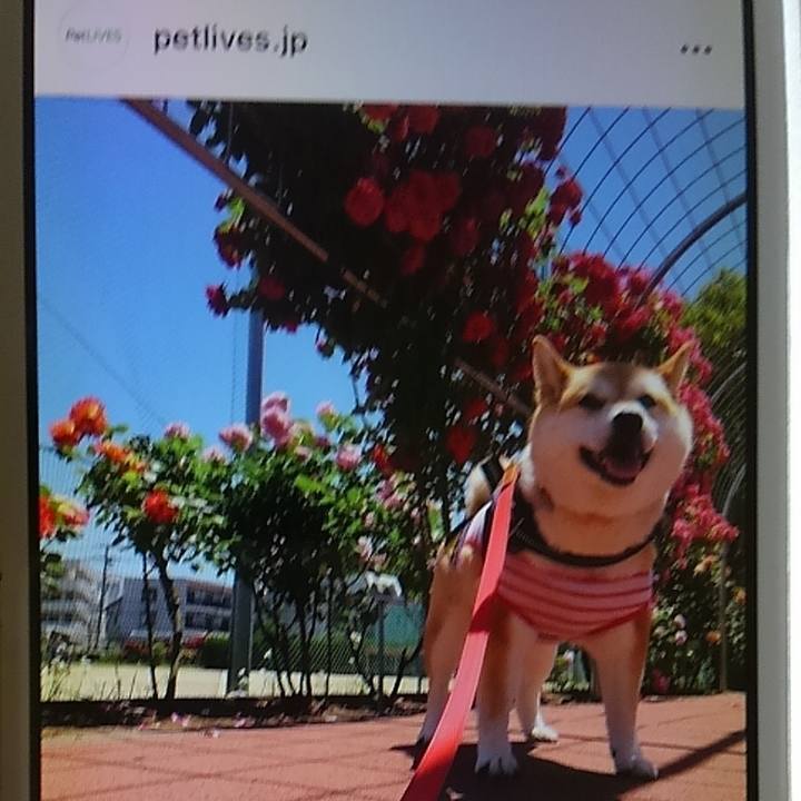 0a65b2cb 48b7 468a be8e 122c5c262da6 1622435982392