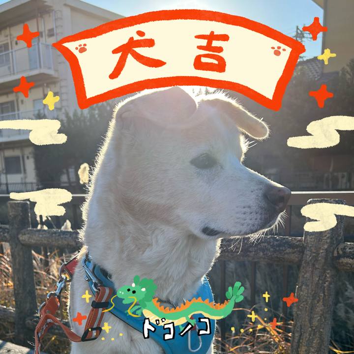 0a65b9b9 fbb2 4e94 8d70 0c698fed39cb 1704075770209