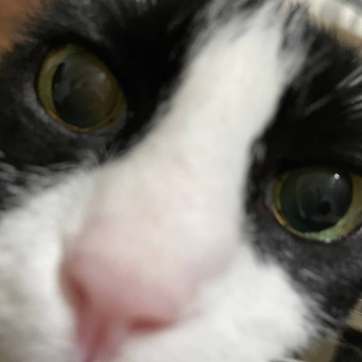 0a65dd67 603b 4c4f bdcb a91ce751ed68 1686854315198