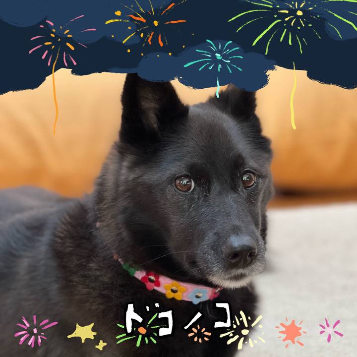 0a65f58d 2a8a 4d21 a42a 76cd33c56c2e 1723278261880