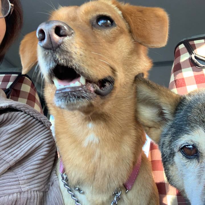 0a65f974 bcc6 4308 940f c950dcb78ca1 1576809454838