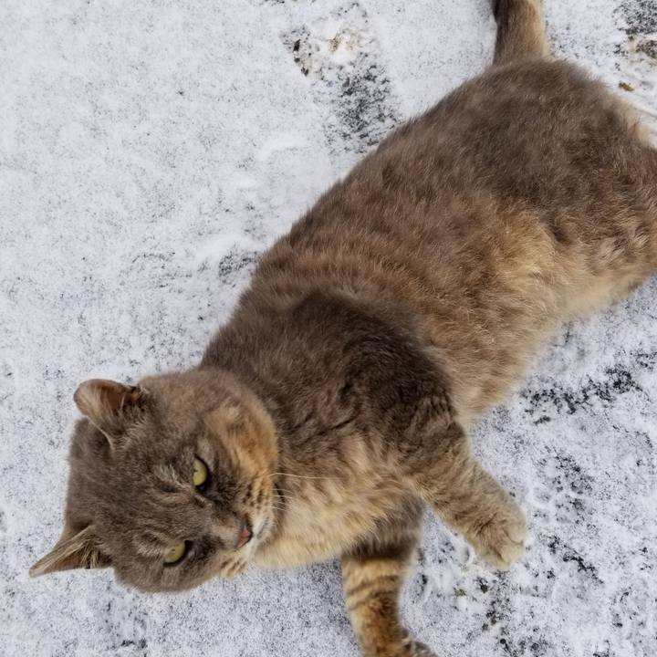 0a661440 1a71 4284 84cb 716b5966318e 1550486097046