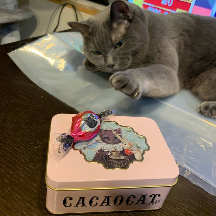 0a661ae5 9509 40a8 a506 b7cae52eecac 1704588093191