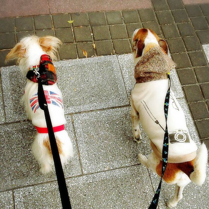 0a6621c7 d0b2 4e2c b050 9b0d5fc9399c 1519547208865