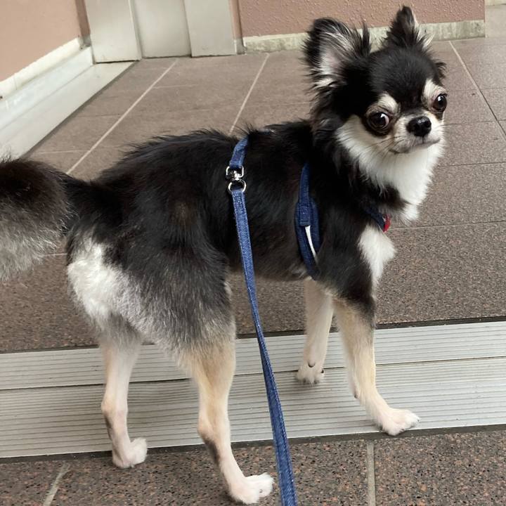 0a66243f e1f5 43d5 95df d8a0f04e6fcf 1630729689683