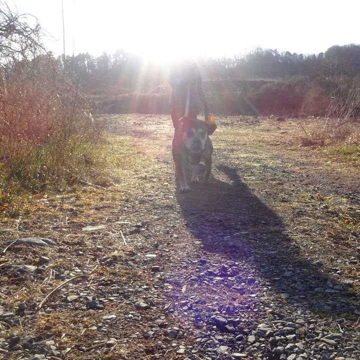 0a663408 1737 48f9 b401 b04abe601d83 1612703532980