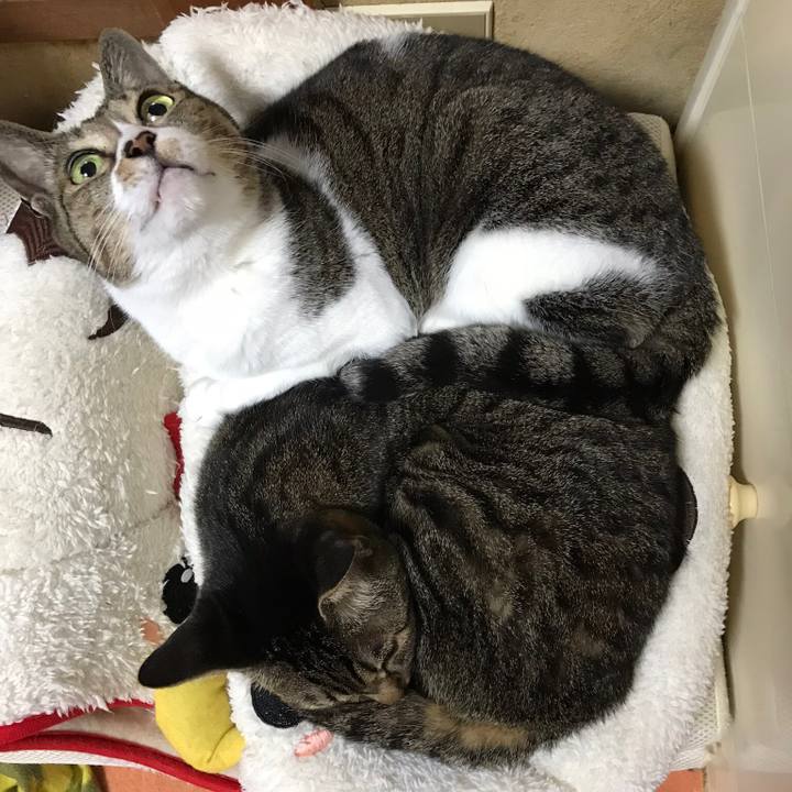 0a664c8f e0ed 4389 b2f2 4caaf02a6621 1519953546036