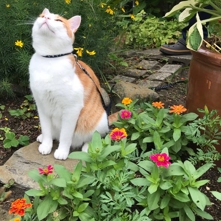 0a666694 f18b 4ca2 a411 a8ade97eabdb 1531037551413