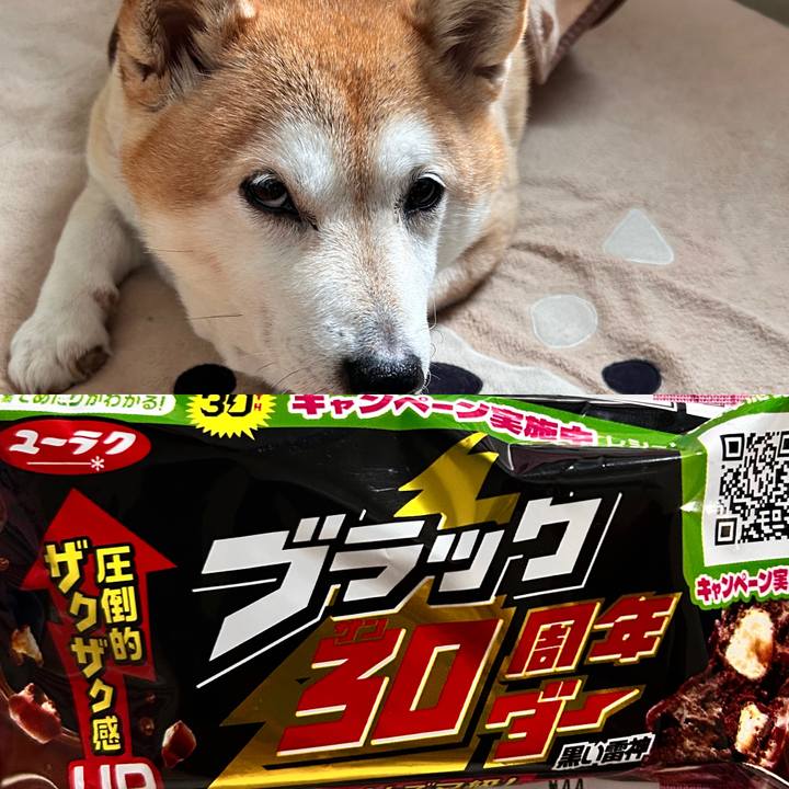 0a668c05 6ce2 4b28 a1bc c172eb9effab 1732197430745