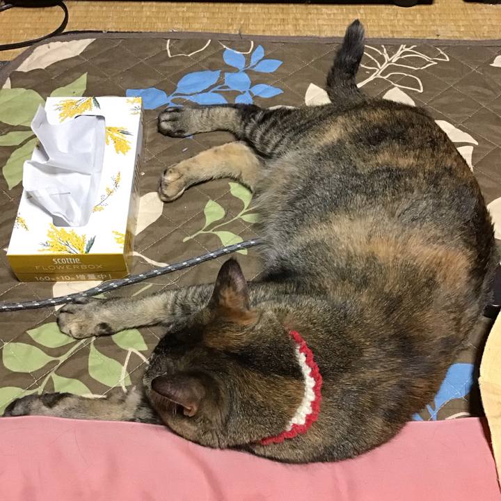 0a66bd4e 86cb 44c2 b393 e906d10822e8 1686057422857